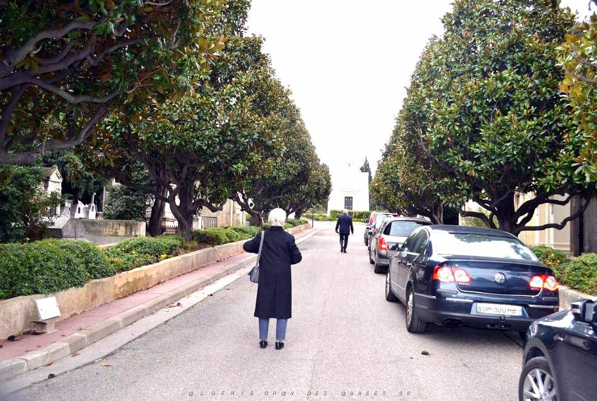2019 12 05 MARSEILLE Hommage aux morts de la guerre d'algerie ,Tunisie, Maroc (2).jpg